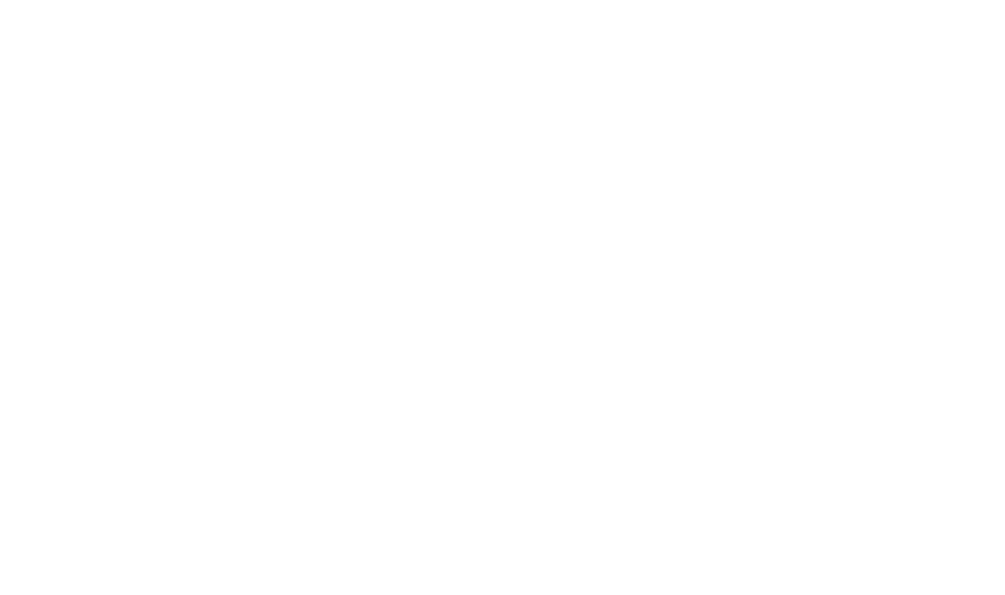 Shujaa Consulting Logo - White